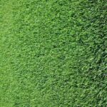 zoysia_japonica_prato_a_rotoli