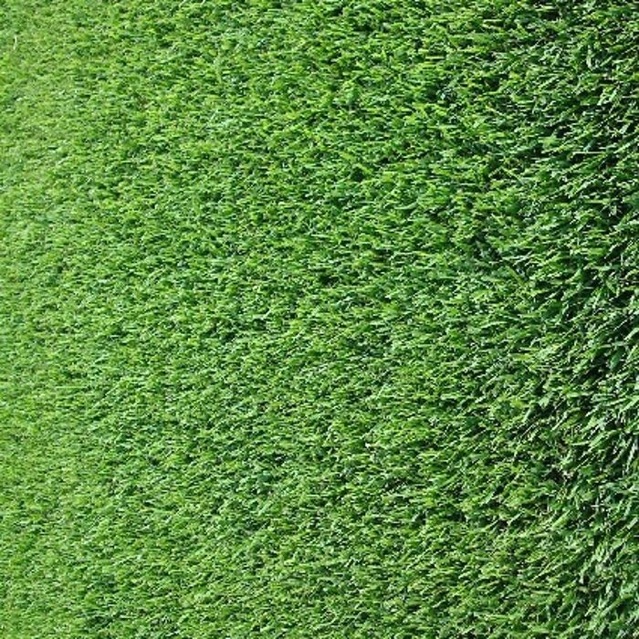 zoysia_japonica_prato_a_rotoli zoysia_japonica_prato_a_rotoli