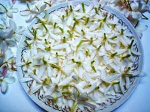 Enfleurage Gelsomino Grandiflorum