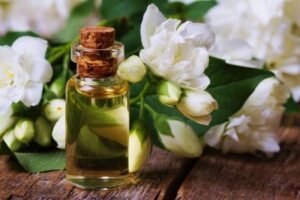 Olio essenziale di Gelsomino Officinalis