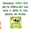 agricoltura_biologica_cifo