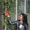 Stefania Mattiuzzo Londra Collezione Nazionale John Vanderplank passiflora rampicante centrovivai garden center stefania mattiuzzo ricerca